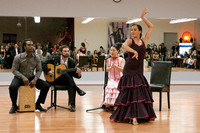 Flamenco-2-7