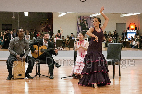 Flamenco-2-7