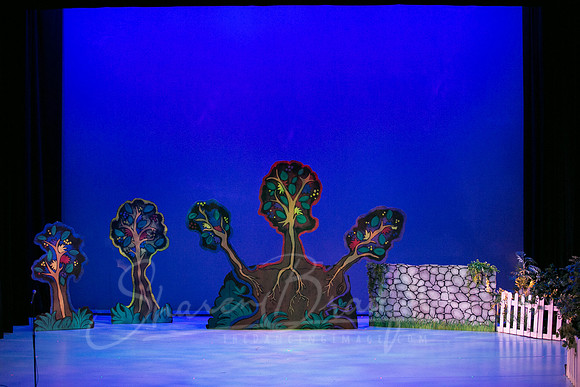 Peter and the Wolf Sat 2018 pc Sharen Bradford-0001