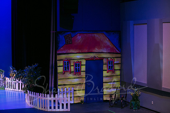 Peter and the Wolf Sat 2018 pc Sharen Bradford-0002