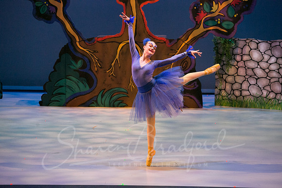 Peter and the Wolf Sat 2018 pc Sharen Bradford-0014