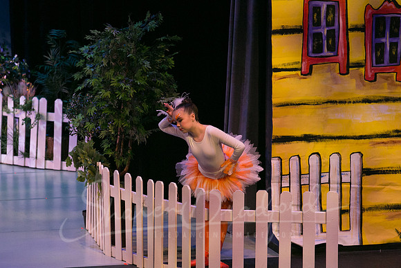 Peter and the Wolf Sat 2018 pc Sharen Bradford-0018