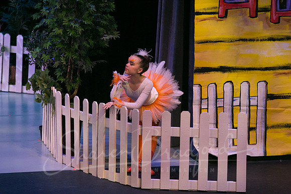 Peter and the Wolf Sat 2018 pc Sharen Bradford-0021