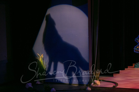 Peter and the Wolf Sat 2018 pc Sharen Bradford-0038
