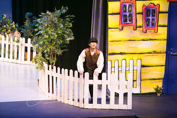 Peter and the Wolf Sat 2018 pc Sharen Bradford-0039