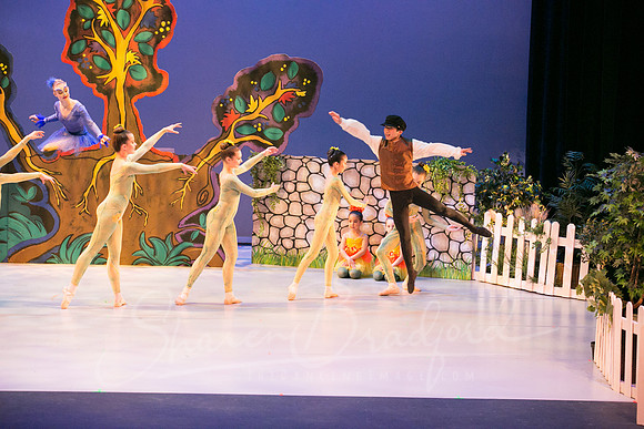 Peter and the Wolf Sat 2018 pc Sharen Bradford-0061