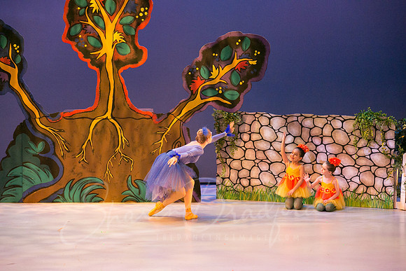 Peter and the Wolf Sat 2018 pc Sharen Bradford-0069