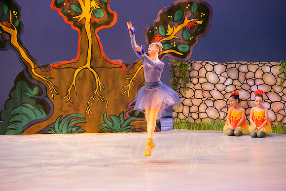 Peter and the Wolf Sat 2018 pc Sharen Bradford-0073