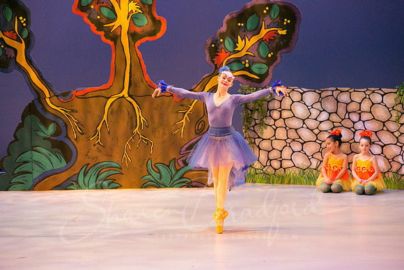 Peter and the Wolf Sat 2018 pc Sharen Bradford-0074