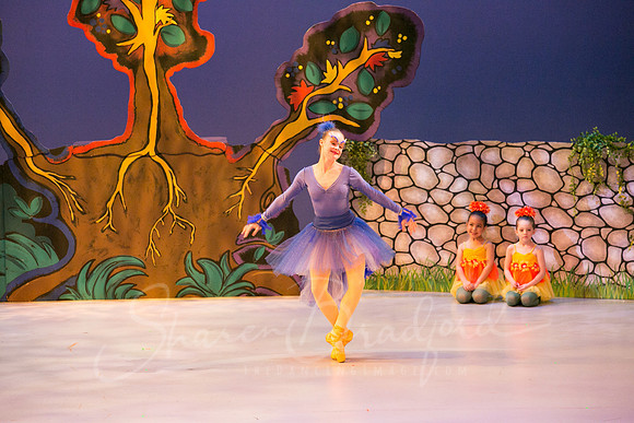 Peter and the Wolf Sat 2018 pc Sharen Bradford-0075