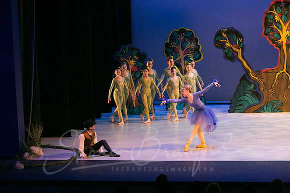 Peter and the Wolf Sat 2018 pc Sharen Bradford-0080