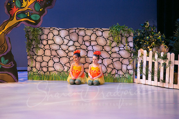 Peter and the Wolf Sat 2018 pc Sharen Bradford-0082