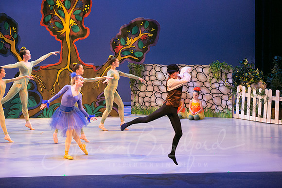Peter and the Wolf Sat 2018 pc Sharen Bradford-0085