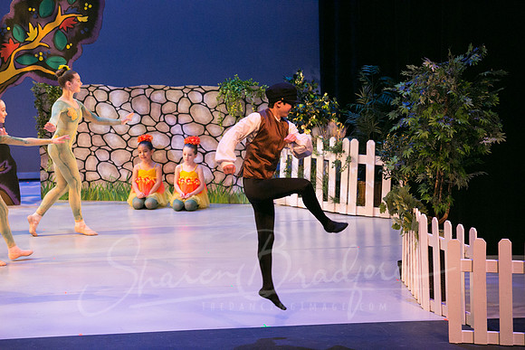 Peter and the Wolf Sat 2018 pc Sharen Bradford-0086