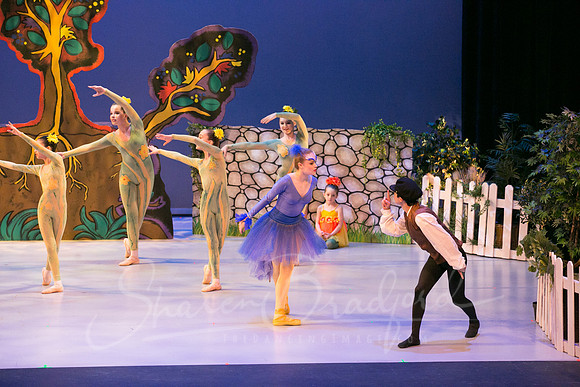 Peter and the Wolf Sat 2018 pc Sharen Bradford-0089