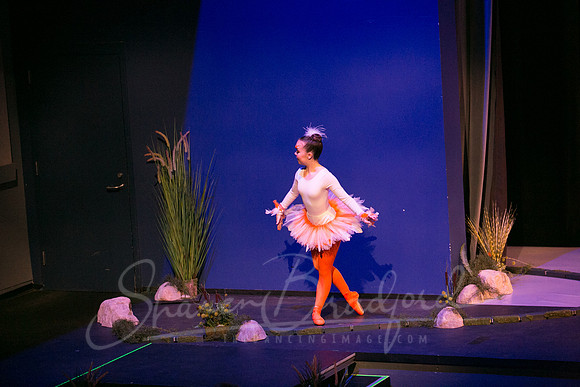 Peter and the Wolf Sat 2018 pc Sharen Bradford-0113