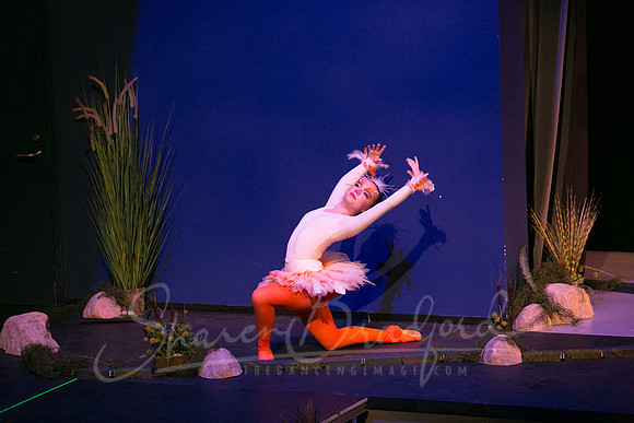 Peter and the Wolf Sat 2018 pc Sharen Bradford-0118