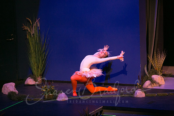 Peter and the Wolf Sat 2018 pc Sharen Bradford-0119