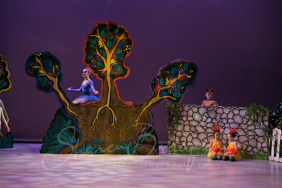 Peter and the Wolf Sat 2018 pc Sharen Bradford-0241