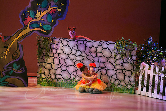 Peter and the Wolf Sat 2018 pc Sharen Bradford-0243
