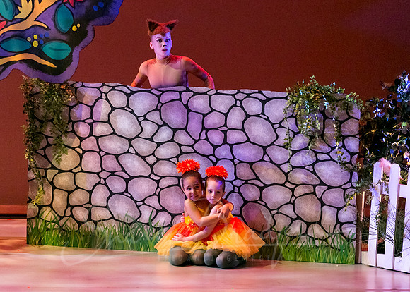 Peter and the Wolf Sat 2018 pc Sharen Bradford-0244