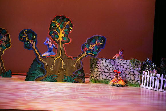 Peter and the Wolf Sat 2018 pc Sharen Bradford-0245