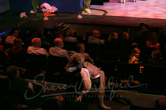 Peter and the Wolf Sat 2018 pc Sharen Bradford-0249