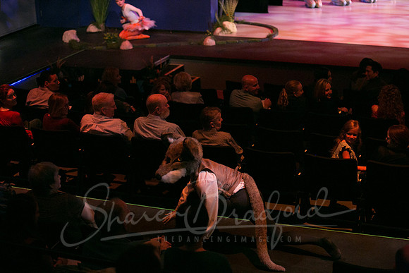 Peter and the Wolf Sat 2018 pc Sharen Bradford-0250