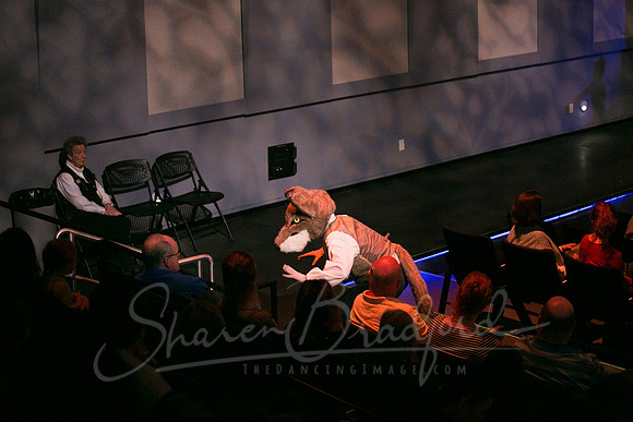 Peter and the Wolf Sat 2018 pc Sharen Bradford-0252
