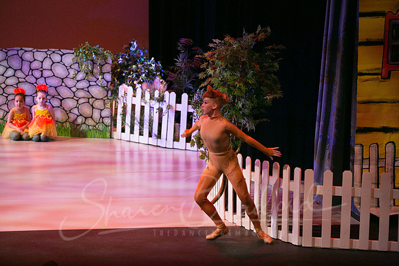 Peter and the Wolf Sat 2018 pc Sharen Bradford-0257