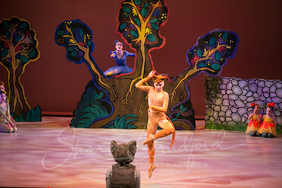 Peter and the Wolf Sat 2018 pc Sharen Bradford-0261