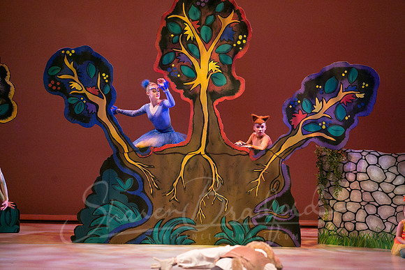 Peter and the Wolf Sat 2018 pc Sharen Bradford-0262