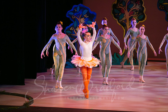 Peter and the Wolf Sat 2018 pc Sharen Bradford-0269