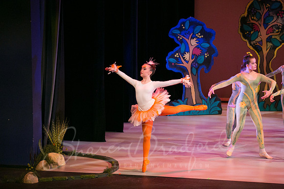 Peter and the Wolf Sat 2018 pc Sharen Bradford-0273
