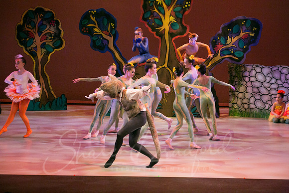 Peter and the Wolf Sat 2018 pc Sharen Bradford-0275