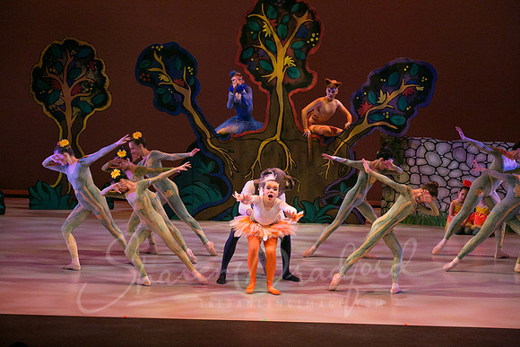 Peter and the Wolf Sat 2018 pc Sharen Bradford-0285