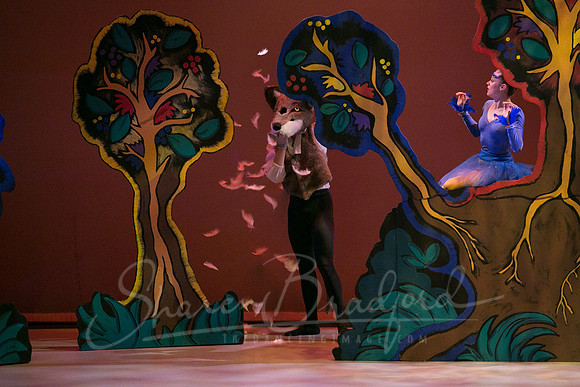 Peter and the Wolf Sat 2018 pc Sharen Bradford-0292
