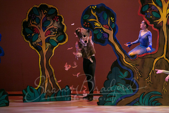Peter and the Wolf Sat 2018 pc Sharen Bradford-0293