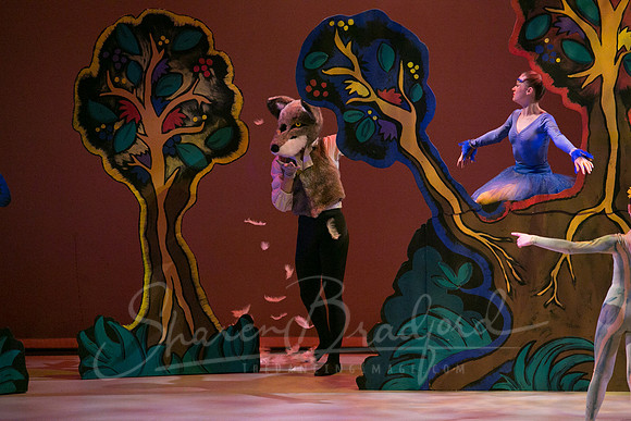 Peter and the Wolf Sat 2018 pc Sharen Bradford-0294