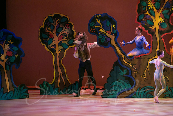 Peter and the Wolf Sat 2018 pc Sharen Bradford-0295