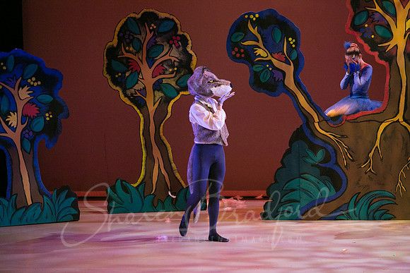 Peter and the Wolf Sat 2018 pc Sharen Bradford-0296