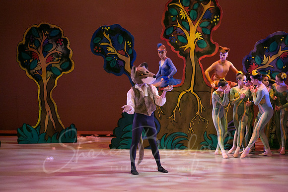 Peter and the Wolf Sat 2018 pc Sharen Bradford-0297