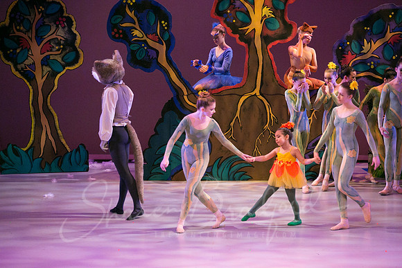 Peter and the Wolf Sat 2018 pc Sharen Bradford-0301
