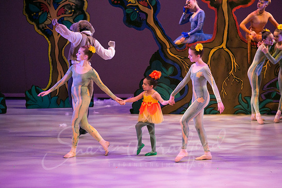 Peter and the Wolf Sat 2018 pc Sharen Bradford-0302