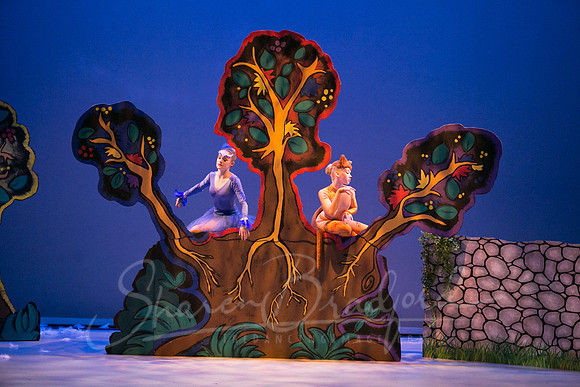 Peter and the Wolf Sat 2018 pc Sharen Bradford-0310