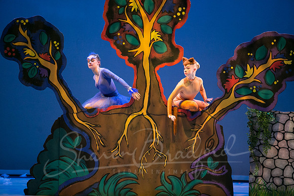 Peter and the Wolf Sat 2018 pc Sharen Bradford-0311