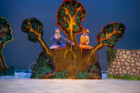 Peter and the Wolf Sat 2018 pc Sharen Bradford-0315