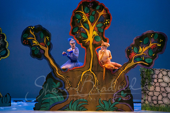 Peter and the Wolf Sat 2018 pc Sharen Bradford-0316