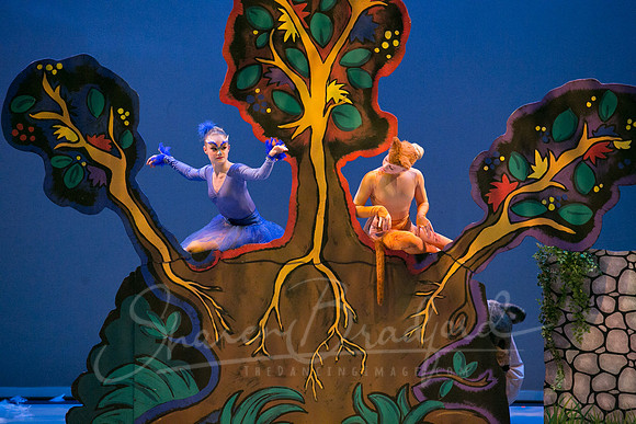Peter and the Wolf Sat 2018 pc Sharen Bradford-0321