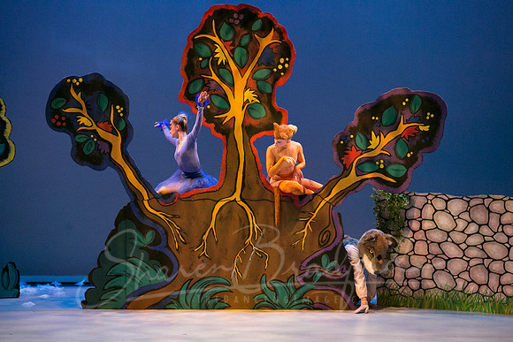 Peter and the Wolf Sat 2018 pc Sharen Bradford-0322